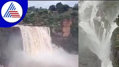 Belagavi: ನೋಡುಗರ ಕಣ್ಮನ ಸೆಳೆಯುತ್ತಿವೆ ನಯನಮನೋಹರ ಜಲಪಾತಗಳು