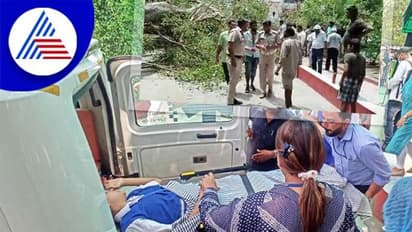 ಶಾಲೆಯಲ್ಲಿ ಊಟ ಮಾಡ್ತಿದ್ದ ಬಾಲಕನ ಮೇಲೆ ಬಿದ್ದ 250 ವರ್ಷದ ಹಳೆಯ ಮರ!