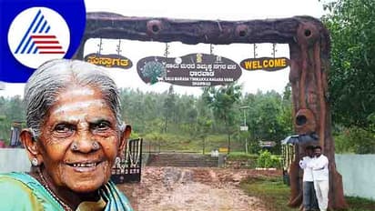 ಕರ್ನಾಟಕ ಪರಿಸರ ಇಲಾಖೆಗೆ ಸಾಲು ಮರದ ತಿಮ್ಮಕ್ಕ ರಾಯಭಾರಿ: ಆದೇಶ ಹೊರಡಿಸಿದ ಸರ್ಕಾರ