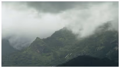  ബഫർ സോൺ: 2019 ലെ ഉത്തരവ് തിരുത്തി മന്ത്രിസഭ 