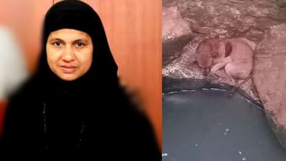 ആൾമറയില്ലാത്ത കിണറ്റിൽ വീണ തെരുവുനായയ്ക്ക് ഭക്ഷണം നൽകി രക്ഷയേകി നഫീസ