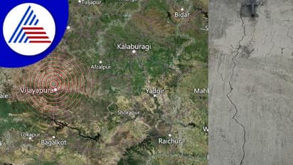 ವಿಜಯಪುರದಲ್ಲಿ ಎರಡು ಬಾರಿ ಕಂಪಿಸಿದ ಭೂಮಿ: 4.9 ತೀವ್ರತೆ ದಾಖಲು!