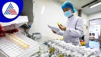 ಮಾರ್ಬರ್ಗ್ ವೈರಸ್‌ನ 2 ಶಂಕಿತ ಪ್ರಕರಣಗಳು ಪತ್ತೆ; WHO ಎಚ್ಚರಿಕೆ