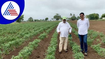 Dharwad: ಮುಂಗಾರು ಬೆಳೆಗಳ ನಿರ್ವಹಣೆಯಲ್ಲಿ ರೈತರಿಗೆ ಸೂಕ್ತ ಸಲಹೆಗಳು 