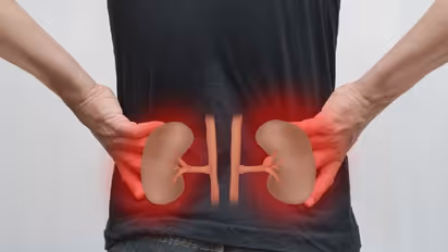 വൃക്കയെ ബാധിക്കുന്ന അസുഖങ്ങളെ അകറ്റാൻ ചെയ്യേണ്ടത്...