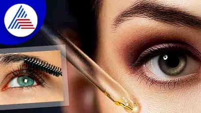 வெறும் 5 நிமிடம் நேரம் ஒதுக்கினால் போதும்..முகம் அழகை கூட்டும் உங்கள் புருவத்தை அடர்த்தியாக மாற்றலாம் ..!