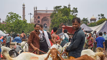 Eid ul-Adha: Sacrifice is not for show-off, avoid it