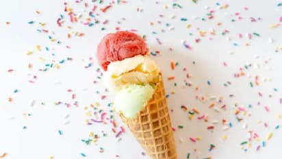 Ice Cream : തീയില്‍ കാണിച്ചാല്‍ പോലും ഉരുകാത്ത ഐസ്ക്രീം; വിഷം ആണോയെന്ന് ആളുകള്‍