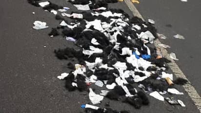  ബാർബർ ഷോപ്പിലെ മുടി മാലിന്യം നടുറോഡിൽ, സാമൂഹ്യവിരുദ്ധരെ കണ്ടെത്തണമെന്ന് നാട്ടുകാർ