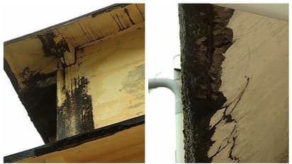  ആലപ്പുഴ വലിയഴീക്കല്‍ സ്കൂള്‍ അപകടാവസ്ഥയില്‍; കോണ്‍ക്രീറ്റ് കഷ്ണങ്ങള്‍ അടര്‍ന്ന് വീഴുന്നു