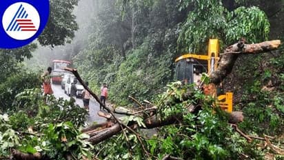 ಘಟ್ಟಪ್ರದೇಶಗಳಲ್ಲಿ ಭಾರೀ ಮಳೆ: 4 ಪ್ರಮುಖ ಘಾಟಿ ರಸ್ತೆಗಳು ಅಪಾಯದಲ್ಲಿ..!