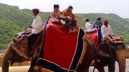 जयपुर के आमेर महल का गजब मामला: हथिनी को पसंद नहीं आई सेल्फी, टूरिस्ट को सूंड से दनादन मारा