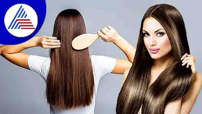 Hair Health: ನಯಾಪೈಸೆ ಖರ್ಚಿಲ್ಲದೆ ಕೂದಲ ಆರೋಗ್ಯ ಹೀಗೆ ಕಾಪಾಡಿಕೊಳ್ಳಿ