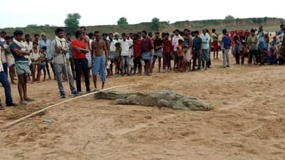 ನದಿಯಲ್ಲಿ ಸ್ನಾನಕ್ಕಿಳಿದ 10 ವರ್ಷದ ಬಾಲಕನನ್ನು ನುಂಗಿದ ಮೊಸಳೆ