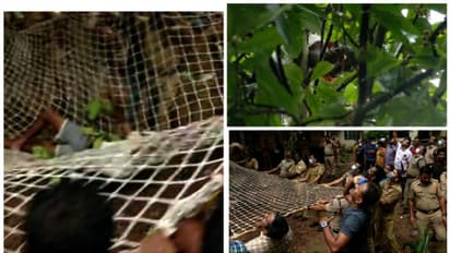 മരത്തിന് മുകളിൽ കയറി ആത്മഹത്യാ ഭീഷണി മുഴക്കിയ പ്രതി താഴേക്ക് വീണു, വീണത്  ഫയ‍ര്‍ഫോഴ്സിന്റെ വലയിലേക്ക് 