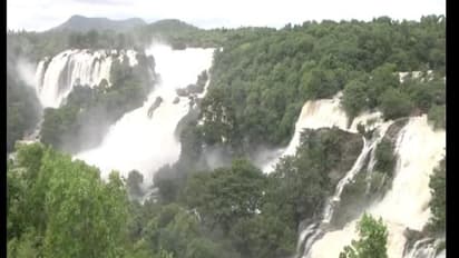 ಹಾಲ್ನೊರೆಯಂತೆ ಧುಮ್ಮಿಕ್ಕುತ್ತಿರುವ ಜಲ ಸಿರಿ, ನೋಡು ಬಾ ಭರಚುಕ್ಕಿ ಜಲಪಾತದ ಸೊಬಗ