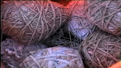 'ബോംബുണ്ട് സൂക്ഷിക്കുക': മുഖ്യമന്ത്രിയുടെ പിണറായിയിലെ വീടിന് തൊട്ടടുത്ത് നടന്ന ബോംബേറിൽ പ്രതികളെ പിടികൂടിയില്ല