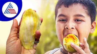  ಮಾವಿನ ಹಣ್ಣು ಮಾತ್ರವಲ್ಲ, ಗೊರಟೆಯೂ ಆರೋಗ್ಯಕ್ಕೆ ಬೆಸ್ಟ್‌