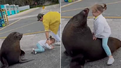 വീഡിയോയ്ക്കായി അതിസാഹസികത; കുഞ്ഞിന്‍റെ ജീവൻ വച്ച് കളിച്ചതിന് മാതാപിതാക്കള്‍ക്ക് വിമര്‍ശനം