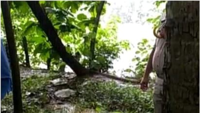 നിലമ്പൂരിൽ മൂന്ന് ദിവസം മുമ്പ് കാണാതായ യുവാവ്; ബന്ധുവായ യുവതിക്കൊപ്പം മരത്തിൽ തൂങ്ങി മരിച്ച നിലയിൽ