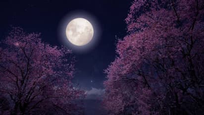 क्या होता है सुपरमून, जानें भारत के आसमान में आज किस वक्त दिखेगा एक अद्भुत नजारा