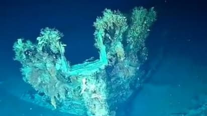 इस अनमोल चीज के साथ समुद्र में डूबा था जहाज, मिला तो 2 देश आपस में लड़ रहे, तस्वीरों में देखिए क्या है वो