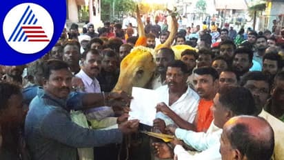 Chikkamagaluru: ಕಾಣೆಯಾಗಿದ್ದ ಬಸವನನ್ನು ಹುಡುಕಿ ದೇವಾಲಯಕ್ಕೆ ಒಪ್ಪಿಸಿದ ಪೊಲೀಸರು!