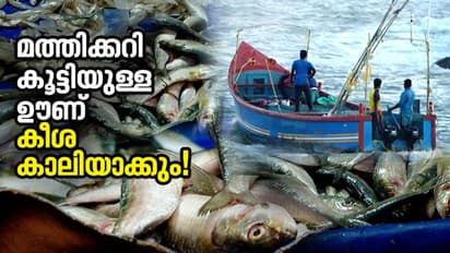 എന്റെ പൊന്ന് മത്തിയേ..! വില ഇതെങ്ങോട്ടാ; കിട്ടാനുമില്ല, കിട്ടിയാല് പോക്കറ്റും കാലി; മീൻപ്രേമികള്ക്ക് നിരാശ