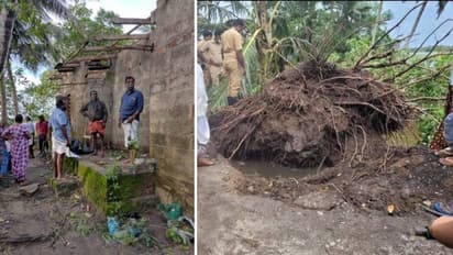 ആലപ്പുഴയിലെ ചുഴലിക്കാറ്റ്, തകഴിയിൽ വീടുകൾ തകർന്നു, മരങ്ങൾ കടപുഴകി, വ്യാപക നാശനഷ്ടം