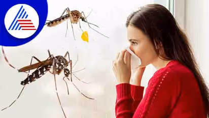 மழைக்காலம் தொடங்கியாச்சு.. பல நோய்கள் ஏற்படலாம்.. கண்டிப்பா இதெல்லாம் ஃபாலோ பண்ணுங்க..