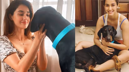 PHOTOS: सलमान खान से दिशा पाटनी-श्रद्धा कपूर तक, देखें सेलेब्स के साथ उनके पेट्स की तस्वीरें 