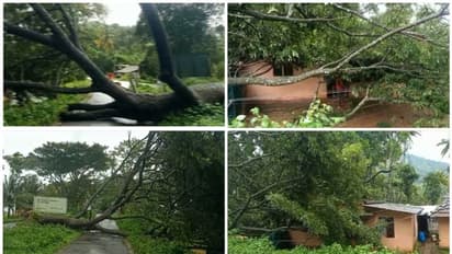 അട്ടപ്പാടിയിൽ കനത്തമഴ, മണ്ണാർക്കാട് ആനക്കട്ടി റോഡിൽ മരംവീണു,കോഴിക്കോട് താമരശേരി ചുങ്കത്തും മരം വീണു