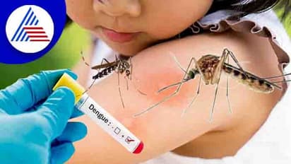Dengue: తెలంగాణలో పెరుగుతున్న డెంగ్యూ కేసులు