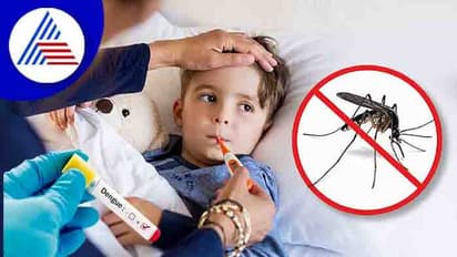 Dengue: ಮಕ್ಕಳಲ್ಲಿ ಈ ಲಕ್ಷಣ ಕಾಣಿಸಿಕೊಂಡ್ರೆ ತಕ್ಷಣ ವೈದ್ಯರಿಗೆ ತೋರ್ಸಿ