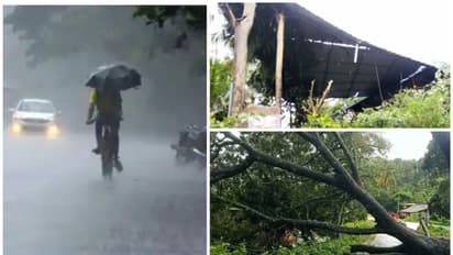 തൃശ്ശൂരില്‍ വീണ്ടും മിന്നല്‍ ചുഴലി, വ്യാപക നാശനഷ്ടം; കാലവര്‍ഷക്കെടുതിയില്‍ സംസ്ഥാനത്ത് ഇന്ന് നാല്  മരണം