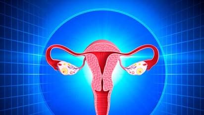 25,000 രൂപയ്ക്ക് 16 വയസ്സുകാരിയുടെ അണ്ഡവില്പ്പന, കേരളത്തിലെ ഒരാശുപത്രിക്കും പങ്കെന്ന് റിപ്പോര്ട്ട്