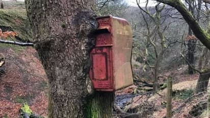 रियल बॉस: दिलचस्प 10 तस्वीरों में देखिए प्रकृति की ताकत, नहीं चला इंसान का जोर 