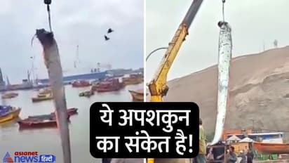 मछली है या राक्षस! नहीं देखा ऐसा जीव, 16 फुट लंबी इस फिश को उठाने के लिए मंगानी पड़ी क्रेन, देखिए वीडियो