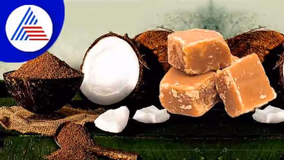 நாவில் எச்சில் ஊற வைக்கும் கருப்பட்டி மைசூர்பாகு.. எளிமையாக வீட்டிலே செய்யலாம் 