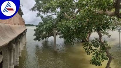 ತುಂಗಭದ್ರಾ ಡ್ಯಾಂನಿಂದ ಭಾರೀ ಪ್ರಮಾಣದಲ್ಲಿ ನೀರು ಬಿಡುಗಡೆ: ಹಂಪಿ ಸ್ಮಾರಕಗಳು ಜಲಾವೃತ