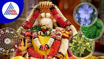 ಶ್ರಾವಣದಲ್ಲಿ ಶಿವನಿಗೆ ಅರ್ಪಿಸಿ ಈ ಹೂ, ಪುಣ್ಯ ಲಭಿಸುತ್ತೆ!