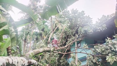  കനത്ത മഴ: മലപ്പുറത്ത് കിണര്‍ ഇടിഞ്ഞ് താഴ്ന്നു, മരങ്ങള്‍ കടപുഴകി, വ്യാപക നാശം