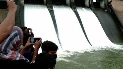 വൃഷ്ടി പ്രദേശത്ത് കനത്ത മഴ: മലമ്പുഴ ഡാം തുറന്നു, കൽപ്പാത്തിപ്പുഴയിലും ഭാരതപ്പുഴയിലും ജലനിരപ്പുയരും  