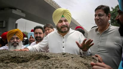 In Patiala jail, Sidhu complains of knee pain; doctor advises him to reduce weight
