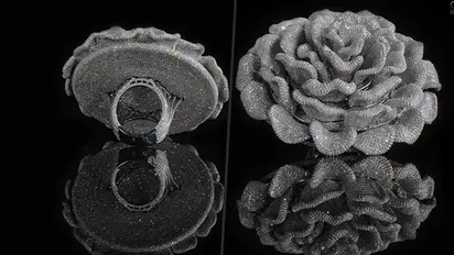 With 24,679 diamonds in a ring, Kerala jeweller earns Guinness World Record