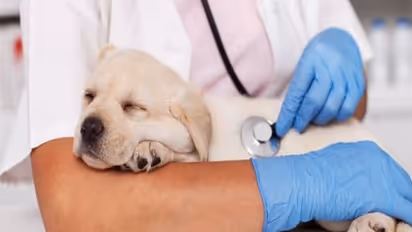 बुंदेलखंड को एक्सप्रेस-वे के बाद जल्द ही मिलेगी एक और बड़ी सौगात, तेजी से जारी है तैयारी