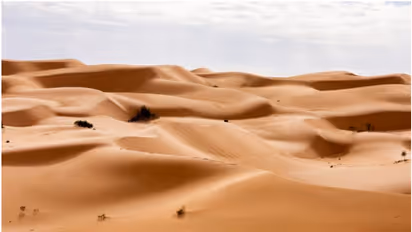 ഖത്തറില് ഇനി രണ്ടാഴ്ച ചൂടേറിയ വരണ്ട കാറ്റ് വീശും