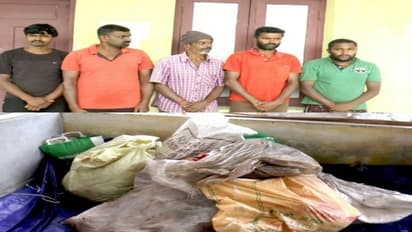 കാട്ടുപോത്തിൻറെ ഇറച്ചി മുറിച്ചുകടത്താൻ ശ്രമിച്ച അഞ്ചു പേര്‍ പിടിയില്‍