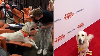 ಪ್ರೀಮಿಯರ್ ಶೋಗೆ ಅತಿಥಿಯಾಗಿ ಬಂದ ಶ್ವಾನ: ನಿಮಗಿಂತ ನಿಮ್ಮ ನಾಯಿ ಫೇಮಸ್‌ ಆದ್ರೆ ಹೀಗಿರುತ್ತೆ ನೋಡಿ