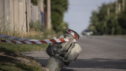Europe's last reactor at Ukraine's Zaporizhzhia nuclear power plant stopped: Report